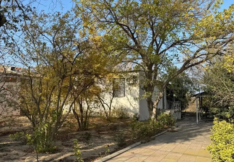 33 sot Torpaq Satılır, Novxanı, Abşeron