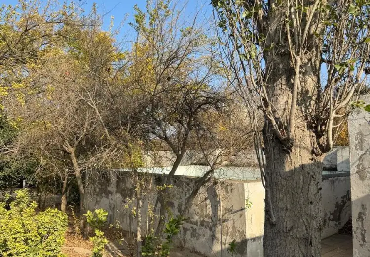 33 sot Torpaq Satılır, Novxanı, Abşeron