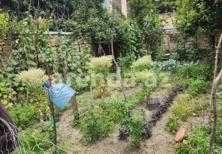 1.5 sot Torpaq Satılır, Zaqatala