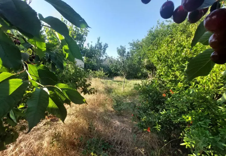 16 sot Torpaq Satılır, Məştağa qəs., Sabunçu, Bakı