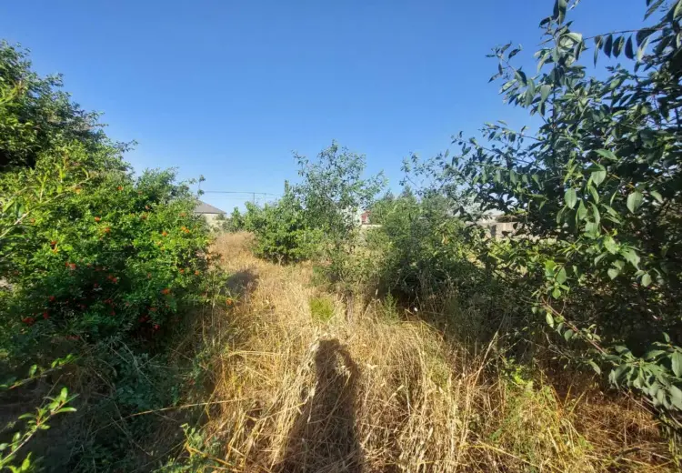 16 sot Torpaq Satılır, Məştağa qəs., Sabunçu, Bakı