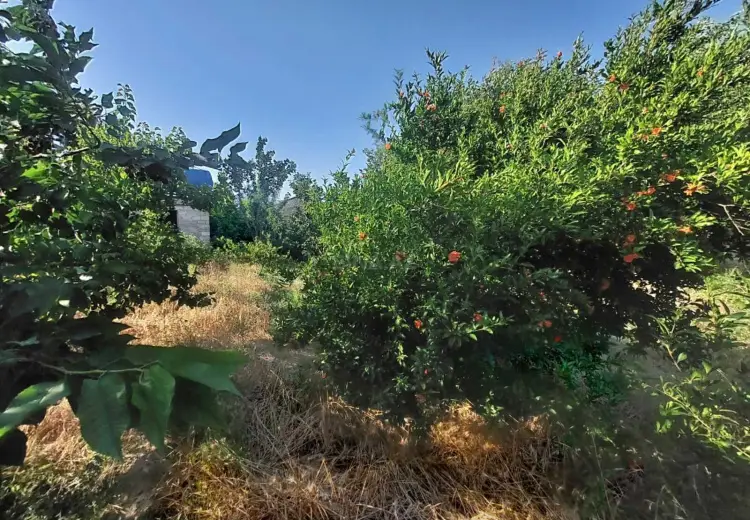 16 sot Torpaq Satılır, Məştağa qəs., Sabunçu, Bakı