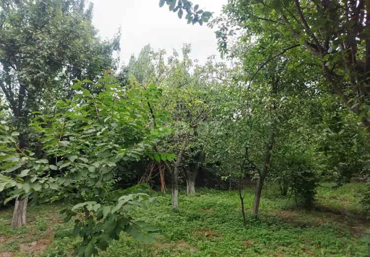 3 otaqlı mənzil , Quba
