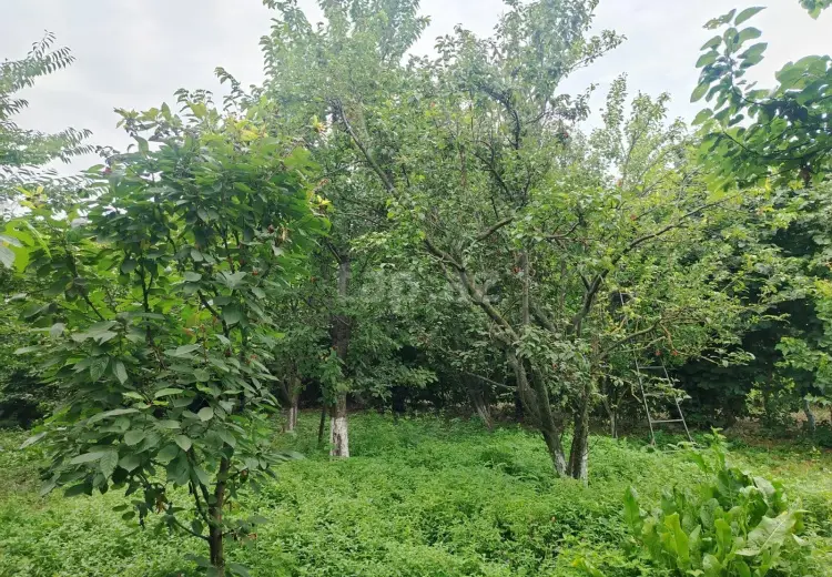 3 otaqlı mənzil , Quba