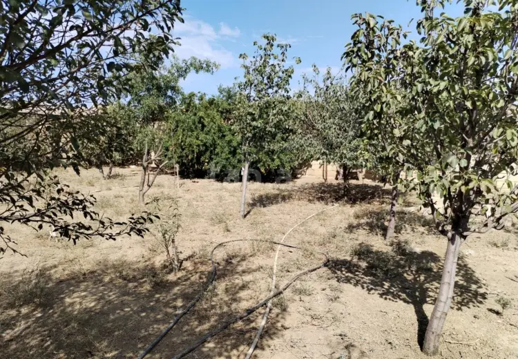 3 otaqlı mənzil , Saray, Abşeron