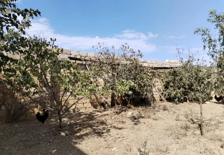 3 otaqlı mənzil , Saray, Abşeron