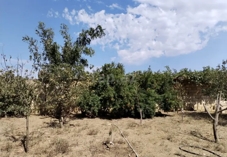 3 otaqlı mənzil , Saray, Abşeron