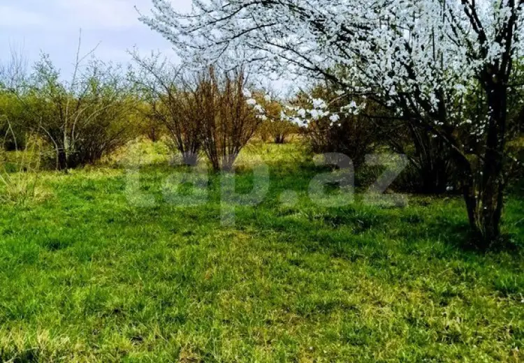 3 otaqlı mənzil , Xaçmaz