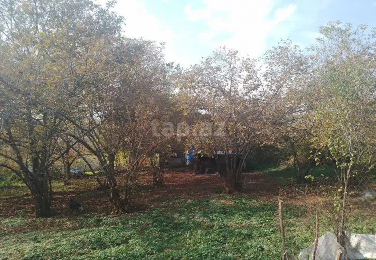 0 m² Obyekt / Ofis , İsmayıllı