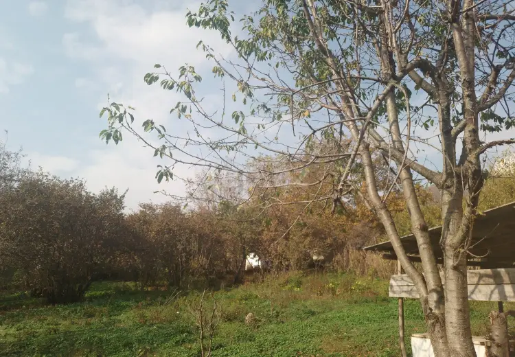 0 m² Obyekt / Ofis , İsmayıllı