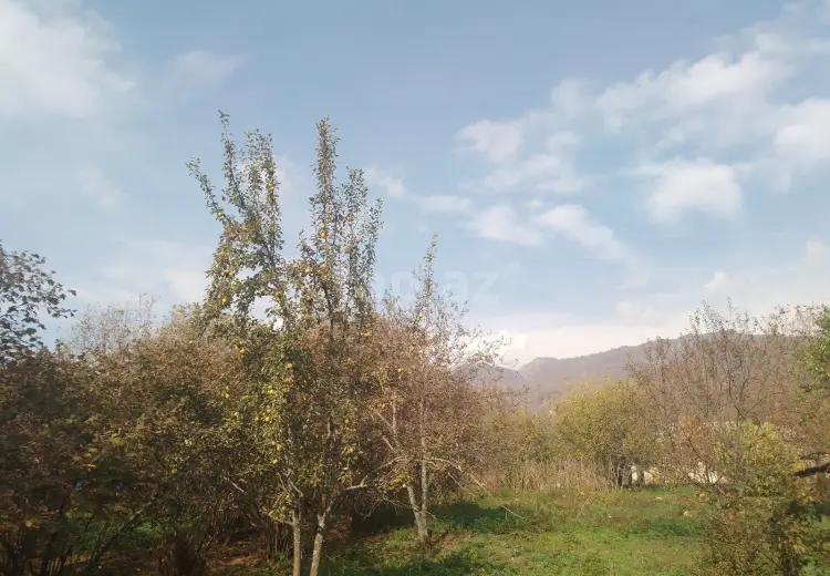 0 m² Obyekt / Ofis , İsmayıllı