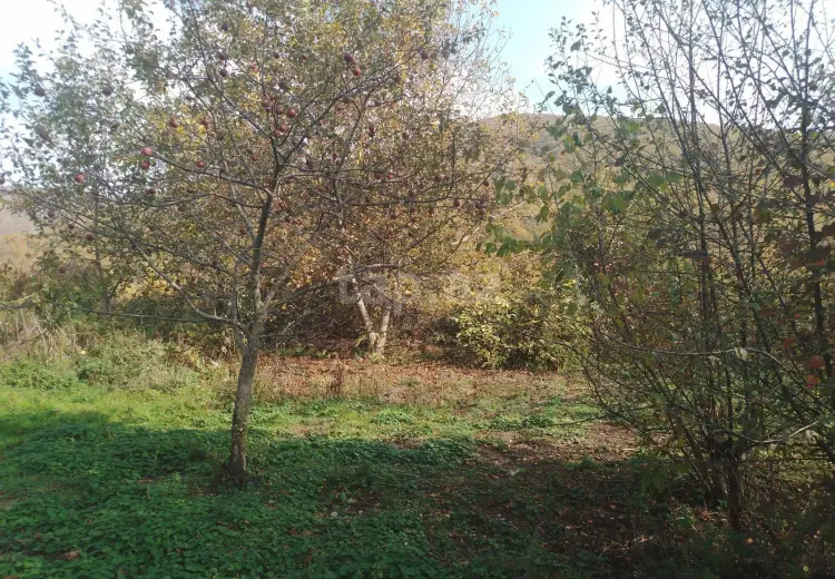 0 m² Obyekt / Ofis , İsmayıllı