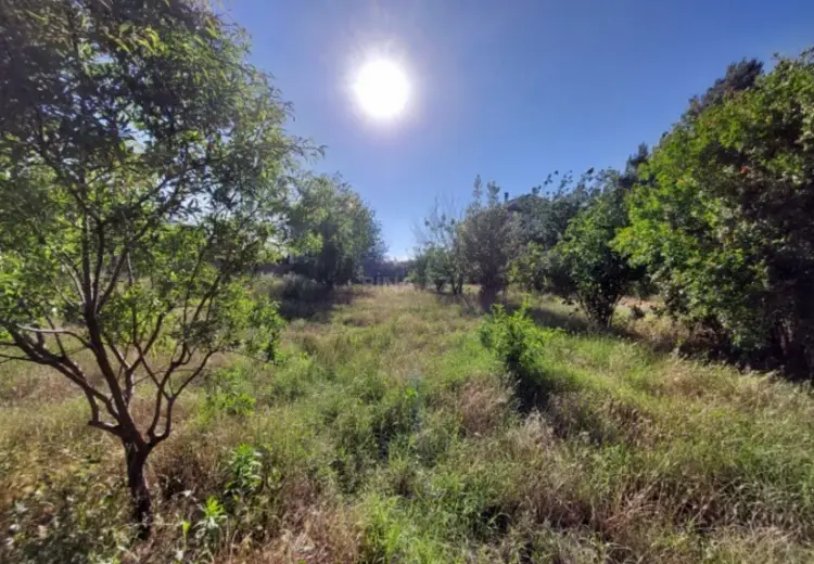 4 sot Torpaq Satılır, Bilgəh qəs., Sabunçu, Bakı