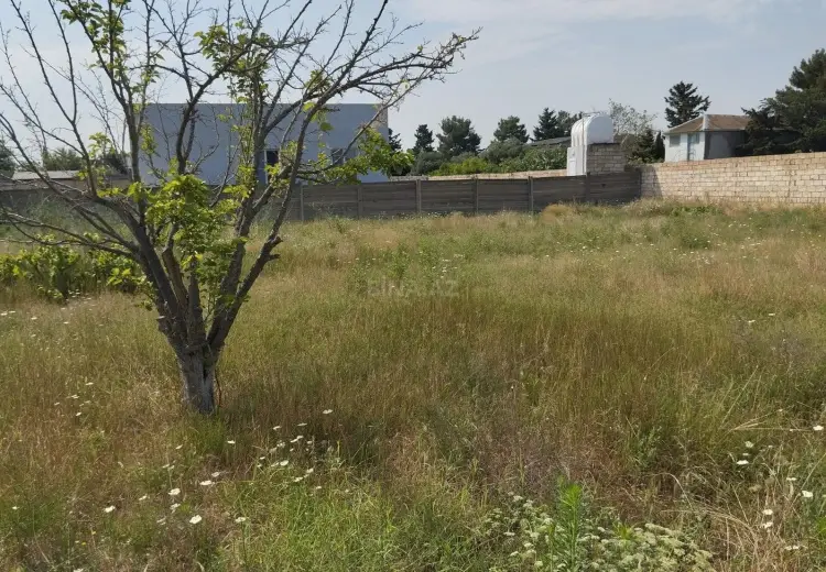 12 sot Torpaq Satılır, Bilgəh qəs., Sabunçu, Bakı