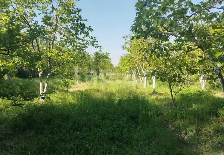 3 otaqlı mənzil , Göyçay