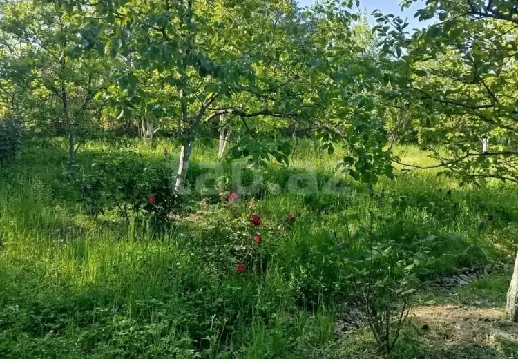 3 otaqlı mənzil , Göyçay