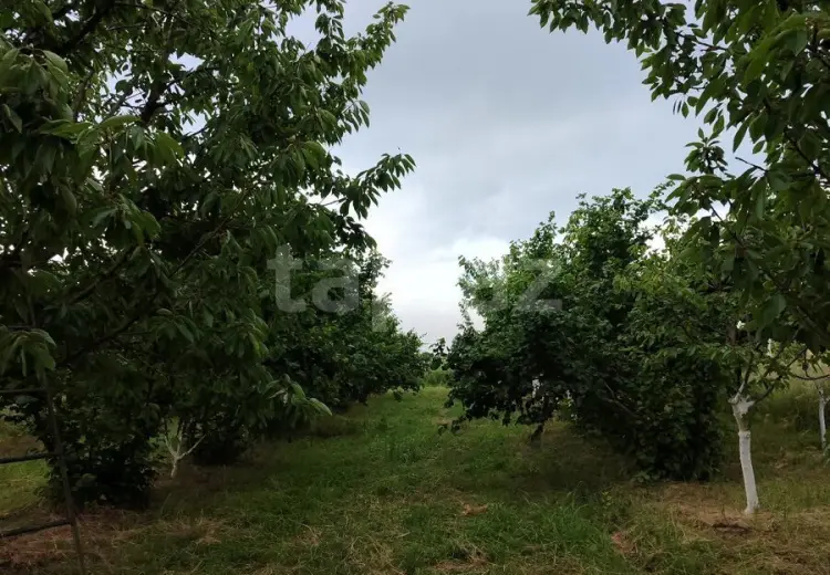 0 m² Obyekt / Ofis , Xaçmaz