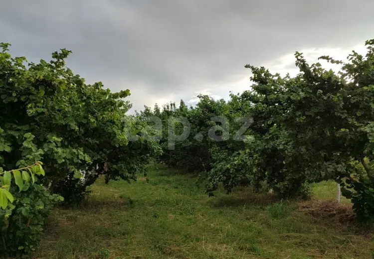 0 m² Obyekt / Ofis , Xaçmaz