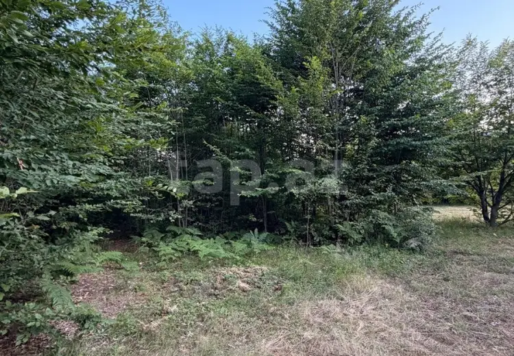 0 m² Obyekt / Ofis , İsmayıllı