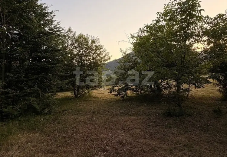 0 m² Obyekt / Ofis , İsmayıllı