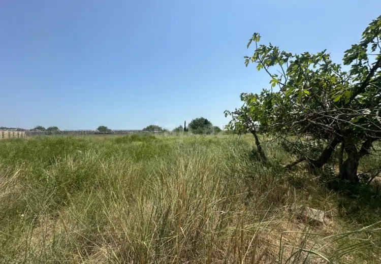 0 m² Obyekt / Ofis , Nardaran qəs., Sabunçu, Bakı