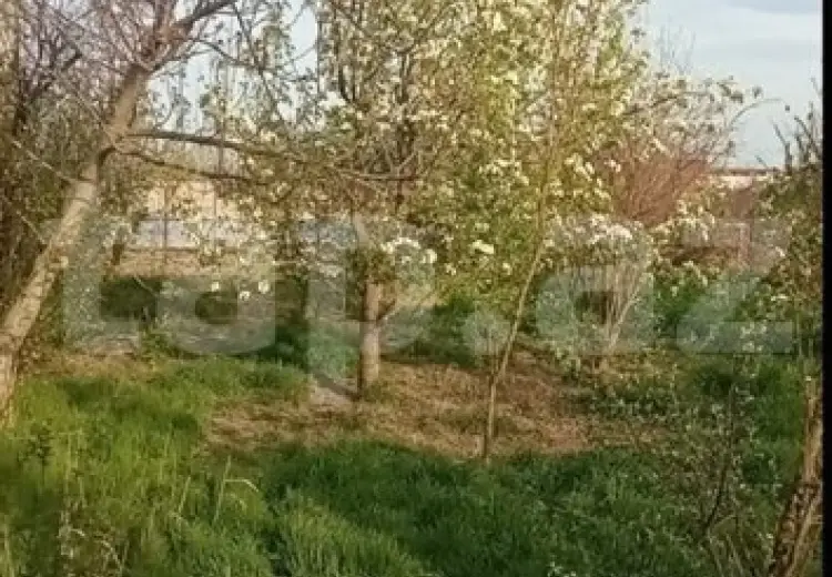 0 m² Obyekt / Ofis , Xaçmaz