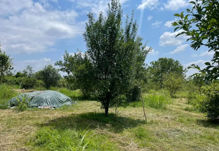 70 sot Torpaq Satılır, Qəbələ