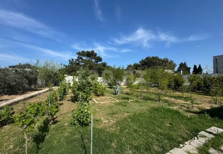 0 m² Obyekt / Ofis , Mərdəkan, Xəzər, Bakı