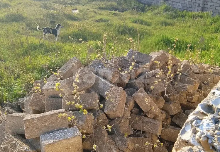 0 m² Obyekt / Ofis , Buzovna, Xəzər, Bakı