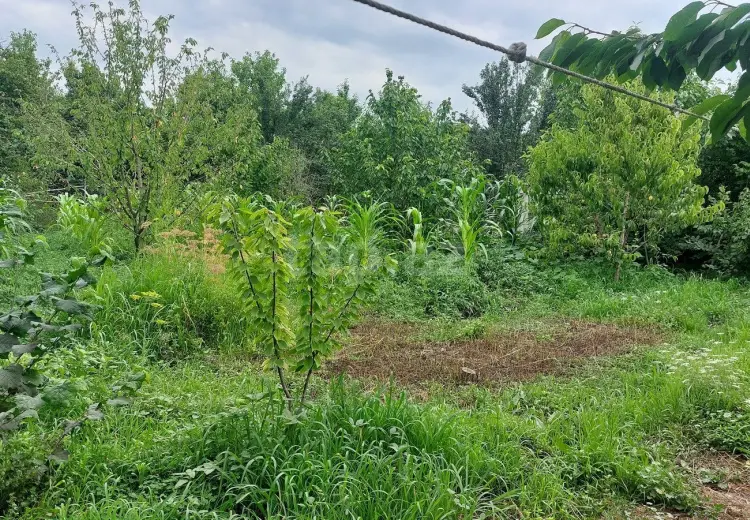 0 m² Obyekt / Ofis , Xaçmaz