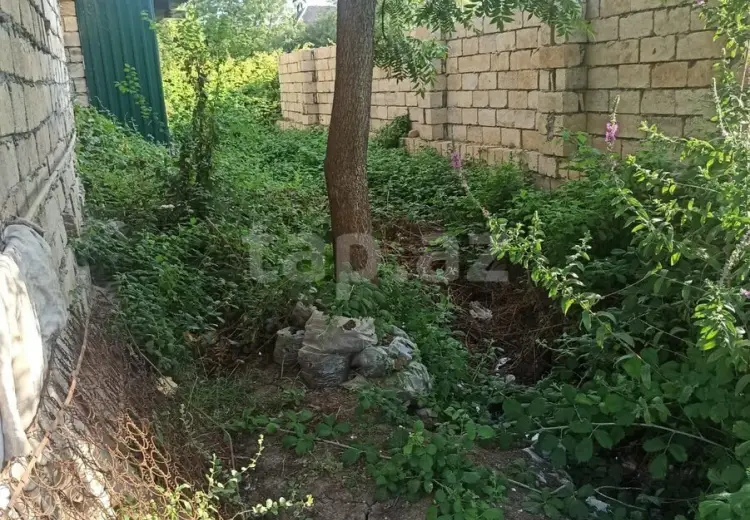 0 m² Obyekt / Ofis , Lənkəran