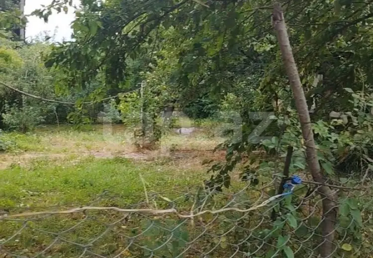 0 m² Obyekt / Ofis , Qəbələ