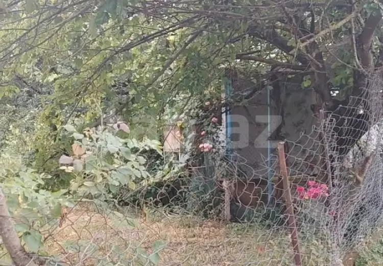 0 m² Obyekt / Ofis , Qəbələ