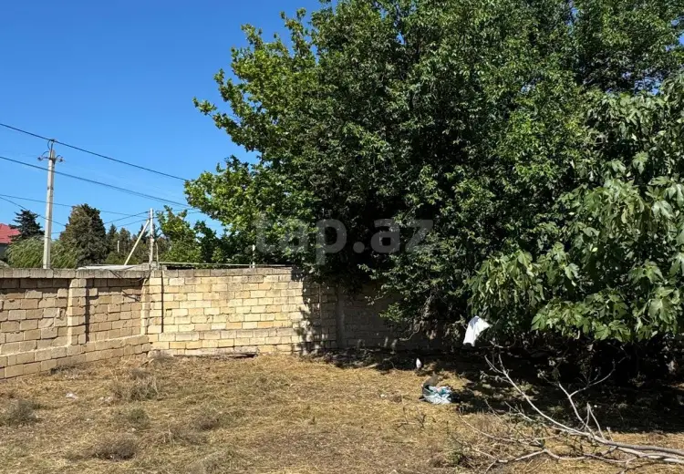 0 m² Obyekt / Ofis , Bakı
