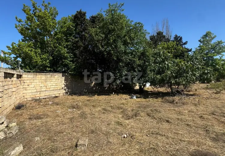 0 m² Obyekt / Ofis , Bakı