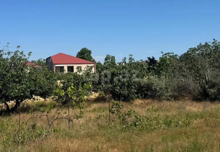 0 m² Obyekt / Ofis , Bakı