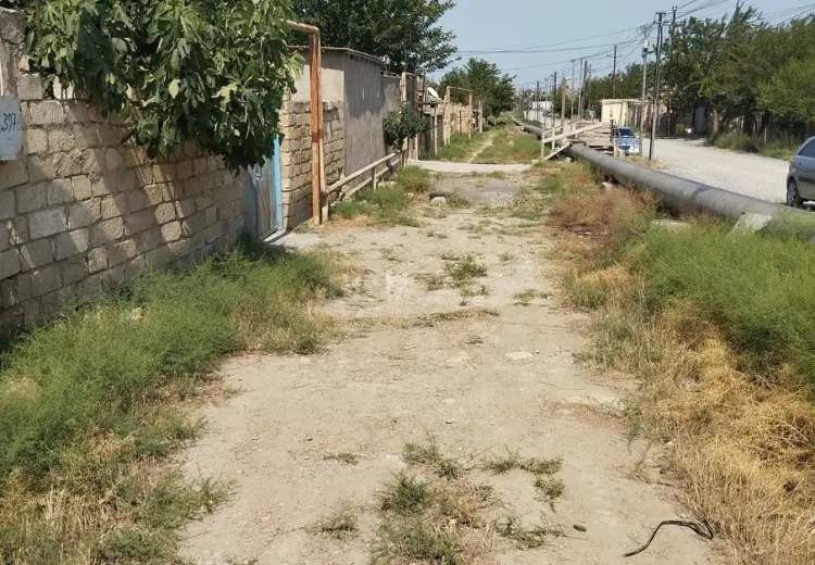 30 sot Torpaq Satılır, Biləcəri qəs., Binəqədi, Bakı
