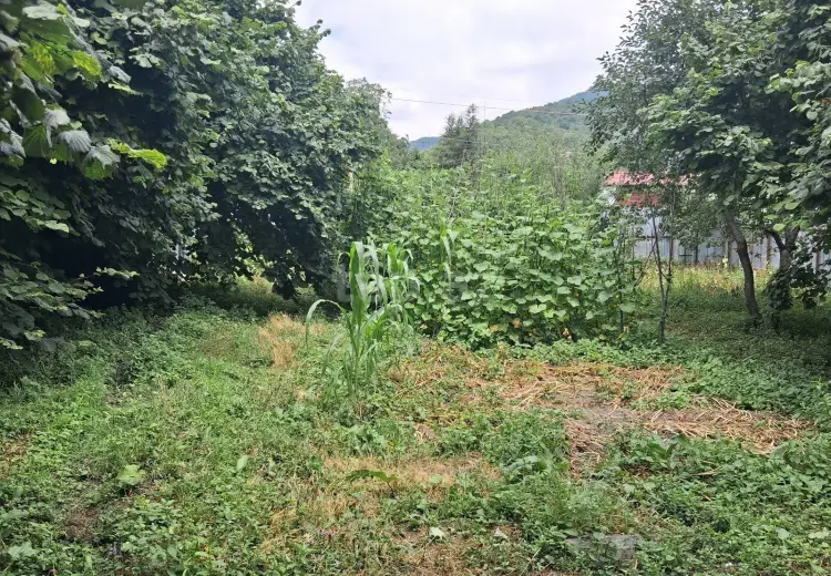 0 m² Obyekt / Ofis , İsmayıllı