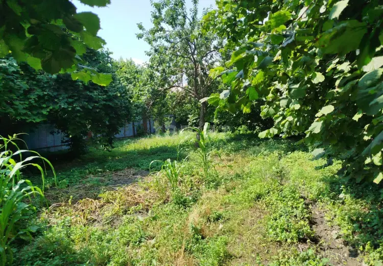 0 m² Obyekt / Ofis , İsmayıllı
