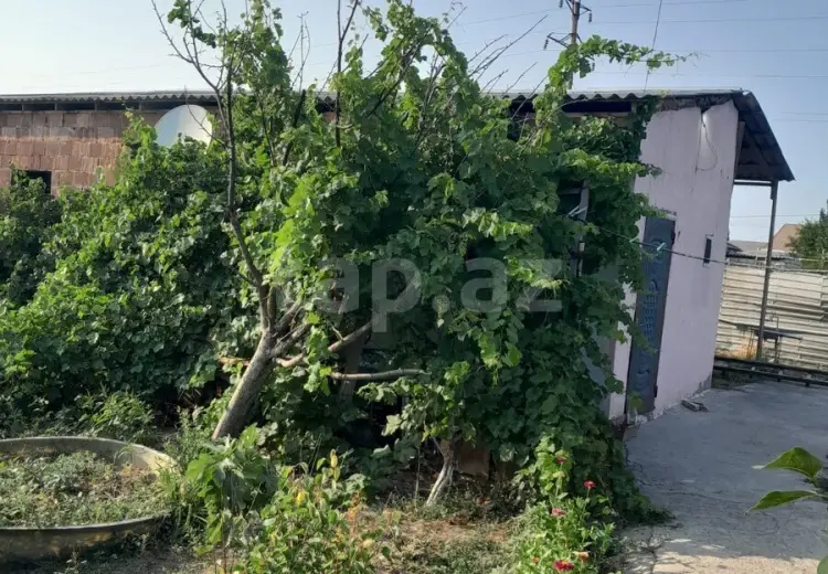 2 otaqlı mənzil , Sumqayıt
