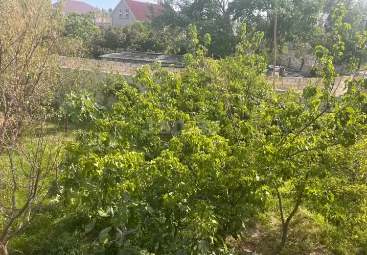 8 otaqlı mənzil , Sumqayıt