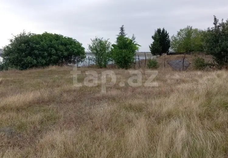 0 m² Obyekt / Ofis , Masallı
