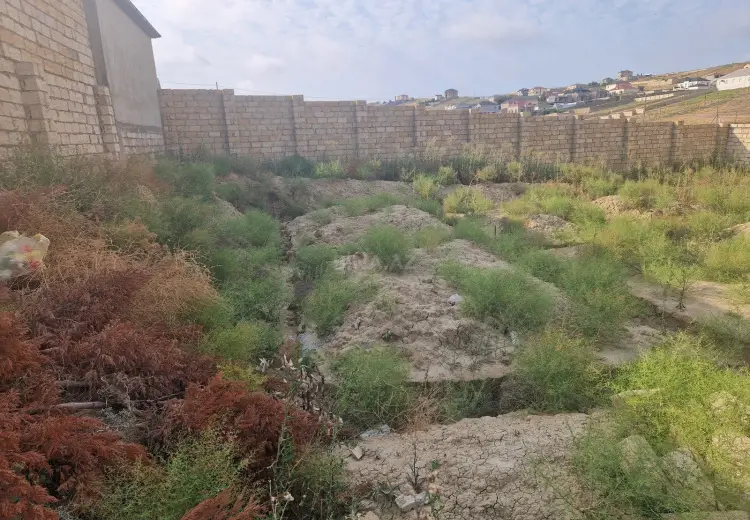10 sot Torpaq Satılır, Novxanı, Abşeron