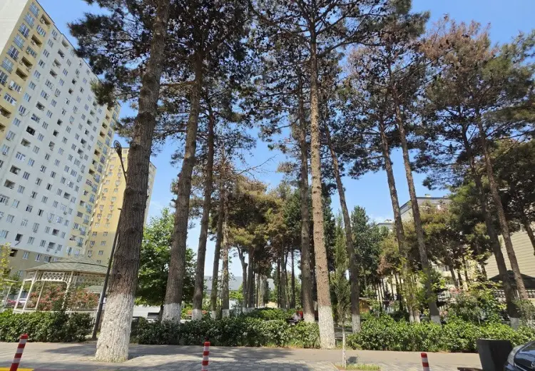 2 otaqlı mənzil Satılır, Xırdalan
