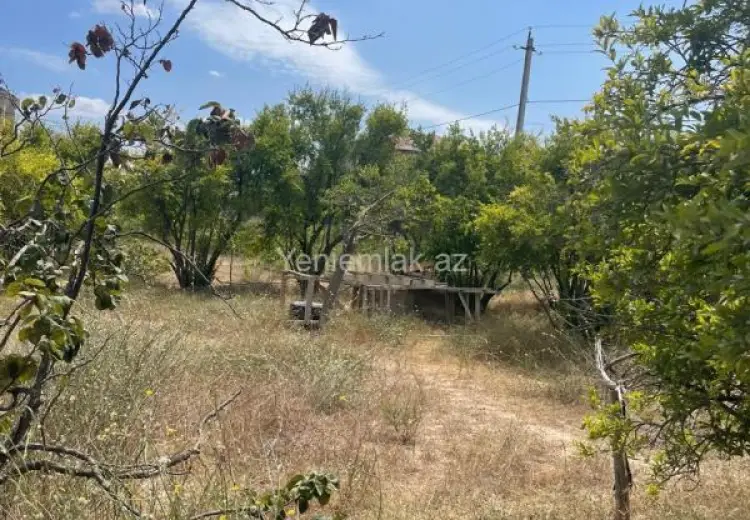 4 sot Torpaq Satılır, Qurd dərəsi, Sumqayıt