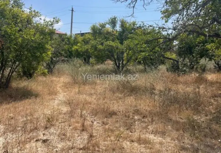 4 sot Torpaq Satılır, Qurd dərəsi, Sumqayıt