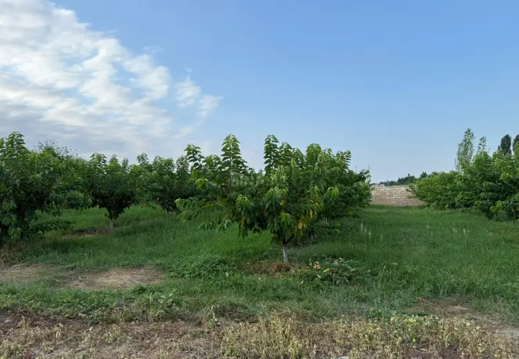 4 otaqlı mənzil Satılır, Qusar