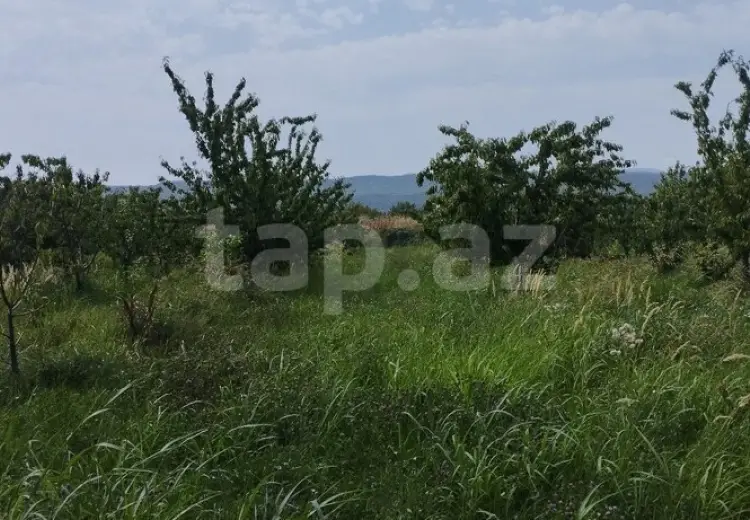 0 m² Obyekt / Ofis , Quba