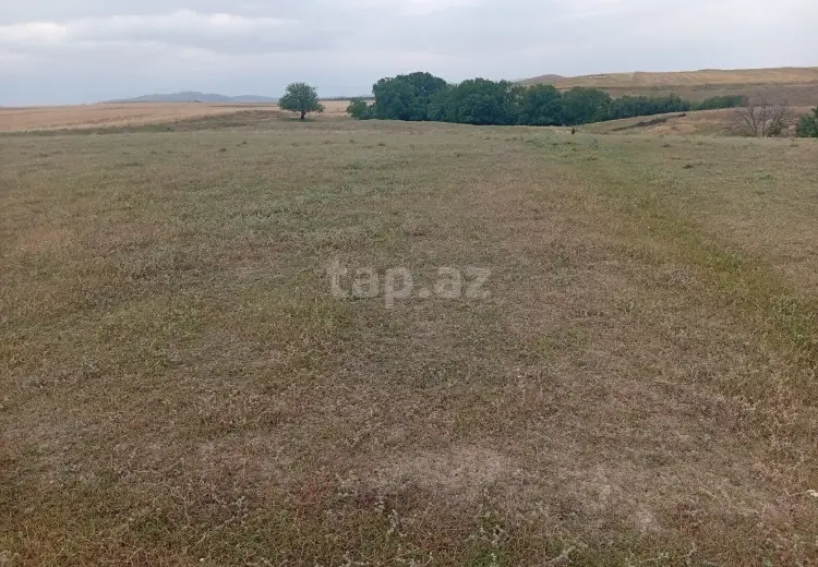 0 m² Obyekt / Ofis , Göygöl