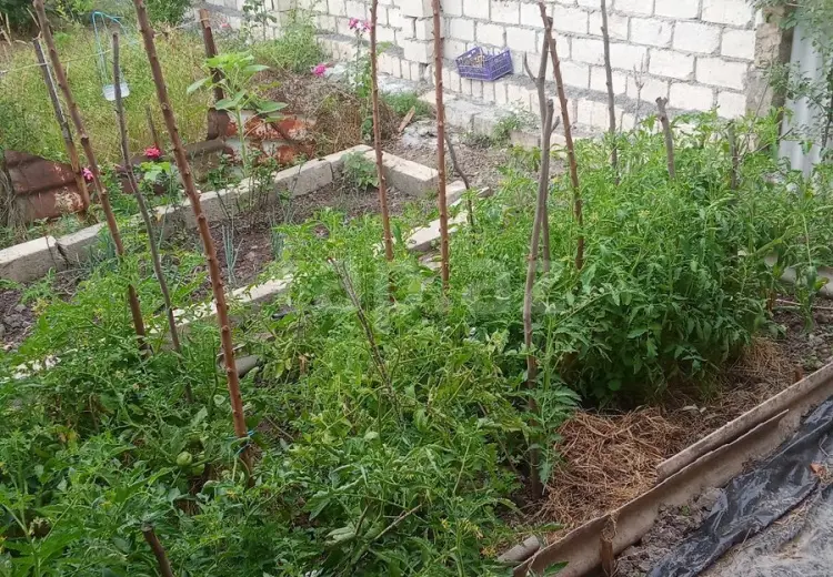 4 otaqlı mənzil , Xudat